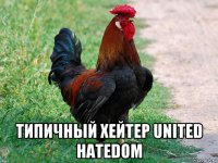  типичный хейтер united hatedom