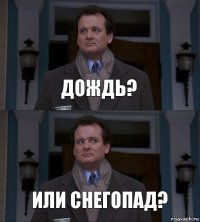 дождь? или снегопад?