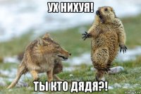 ух нихуя! ты кто дядя?!