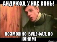 андрюха, у нас конь! возможно, буцефал. по коням!