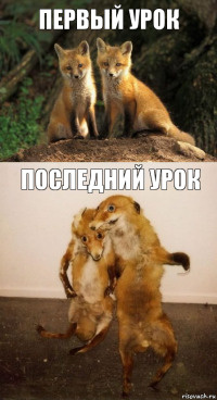 первый урок последний урок