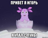 привет я игорь я упал с луны