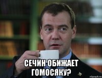  сечин обижает гомосяку?