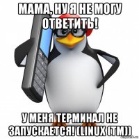 мама, ну я не могу ответить! у меня терминал не запускается! (linux (tm))