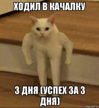 ходил в качалку 3 дня (успех за 3 дня)