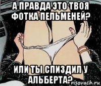 а правда это твоя фотка пельменей? или ты спиздил у альберта?