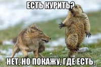 есть курить? нет, но покажу, где есть.