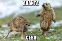 анаита сева