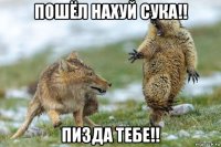 пошёл нахуй сука!! пизда тебе!!