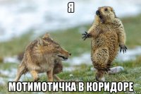 я мотимотичка в коридоре