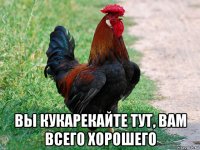  вы кукарекайте тут, вам всего хорошего