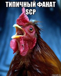 типичный фанат scp 