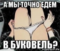 а мы точно едем в буковель?