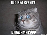 шо вы курите, владимир???