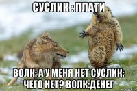 суслик : плати волк: а у меня нет суслик: чего нет? волк:денег