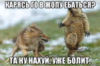 карясь го в жопу ебаться? та ну нахуй, уже болит.