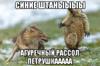 синие штаныыыы агуречный рассол петрушкааааа