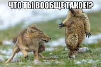 что ты вообще такое!? 