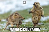 я мама с собрание