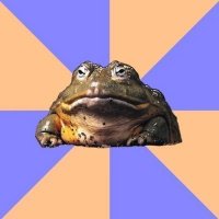 Создать мем  Противная жаба