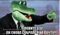  . . . . . . . . . . . . . . . ловите его! . . . . . . . . . . . . он снова собрался на почту!!!