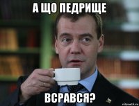 а що педрище всрався?