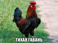  тихая гавань