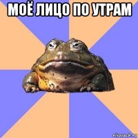 моё лицо по утрам 