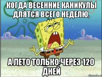 когда весенние каникулы длятся всего неделю, а лето только через 120 дней