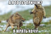 а я то тут причем? я жрать хочу!