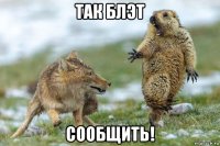 так блэт сообщить!