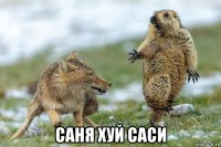  саня хуй саси