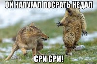 ой напугал посрать недал сри сри!