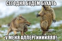 сегодня будем бухать у меня аллергиииияяя!