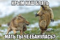 крым наш блять мать ты чё ебанулась?