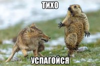 тихо успагойся