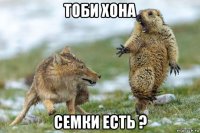 тоби хона семки есть ?