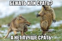 бежать или срать? а нет лучше срать