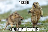 тихо! я владею каратэ