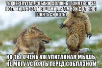 ты перепутал, собаки должны гоняться за котами, а не за мышами, а за мной должны гоняться коты но ты очень уж упитанная мышь, не могу устоять перед соблазном