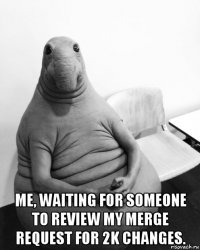  me, waiting for someone to review my merge request for 2k changes.