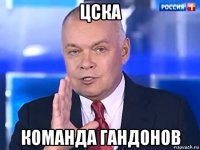 цска команда гандонов