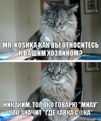 Mr. Koshka как вы относитесь к вашим хозяином? Никаким, только говарю "мйау" Что значит "где хавка С@ка"