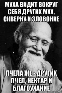 муха видит вокруг себя других мух, скверну и зловоние пчела же - других пчел, нектар и благоухание