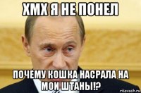 хмх я не понел почему кошка насрала на мои штаны!?