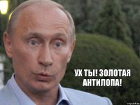 Ух ты! Золотая антилопа!