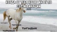 когда от тебя хотят инфу по сертификации 