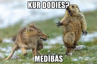 kur dodies? medībās