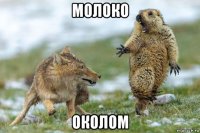 молоко околом