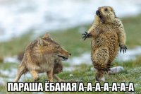  параша ёбаная а-а-а-а-а-а-а